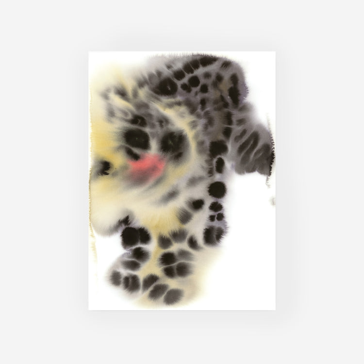 Snow Leopard